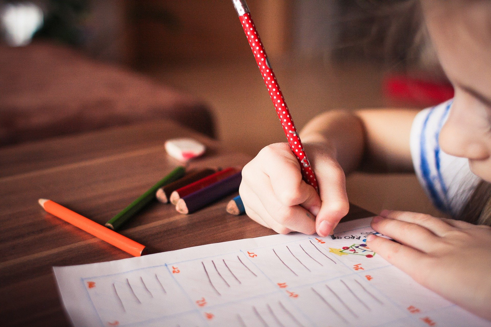 eeft thuisonderwijs voor achterstand, voorsprong of ongelijkheid gezorgd?